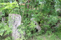 Mbuamaji  is  in copyright