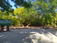 Kaole Old Port by SDH Tanzania is  in copyright