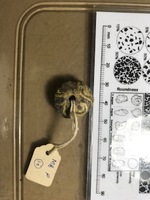 Beads by Neema Munisi is licensed under CC BY 4.0